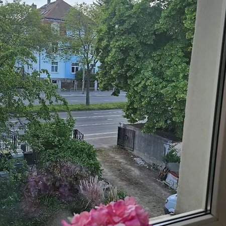 Apartment Selma