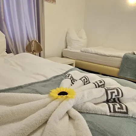 Selma Appartement Dresde