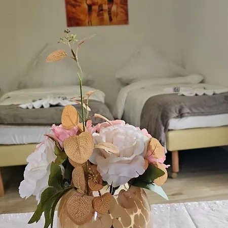 Selma Apartmán Drážďany