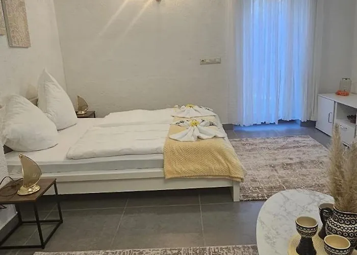 Selma * ドレスデン